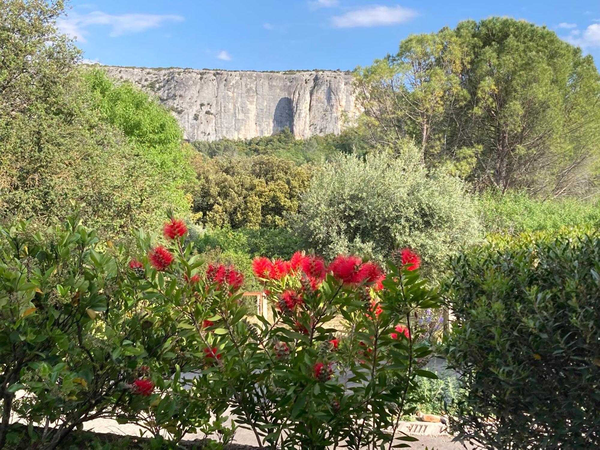 Les Cistes Villa Lioux Bagian luar foto